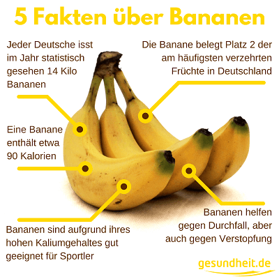 bananen-5-fakten.png