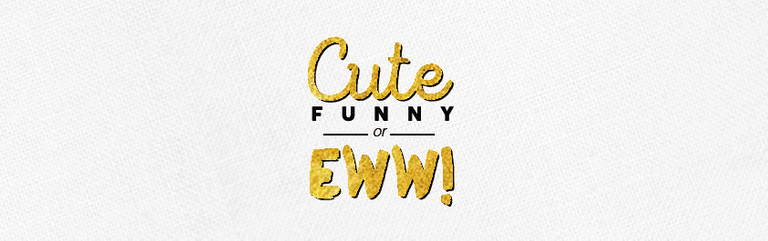 Cute Funny or Eww (Logo-02).png