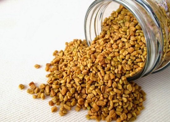 8-Top-Herbs-to-keep-the-hair-healthy-fenugreek.jpg