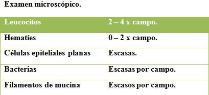 examen de orina ofidio2.jpg