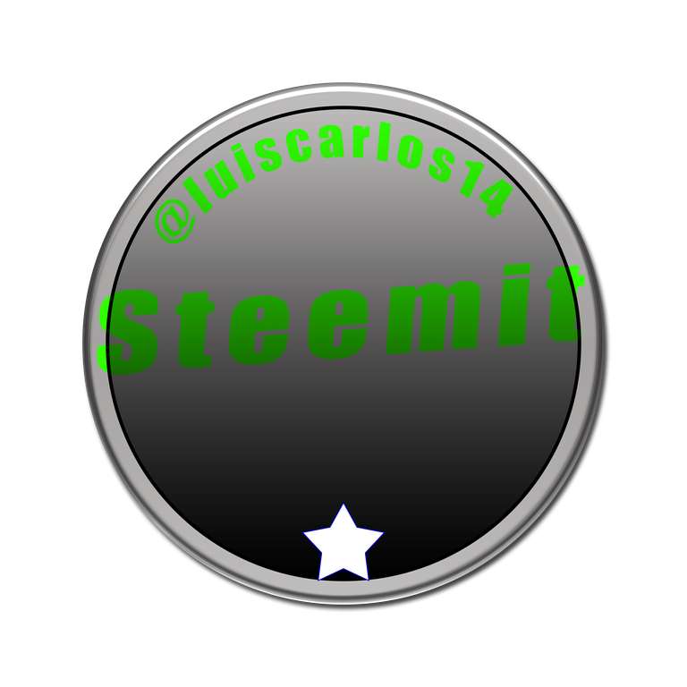 logo stemit.png