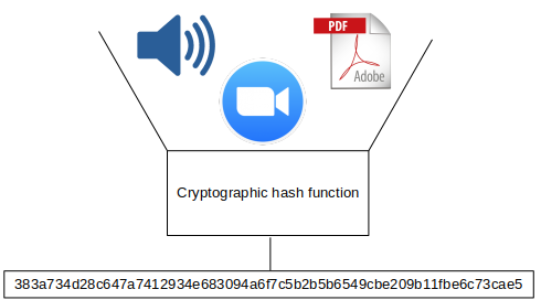 simplified illustration of cryptographic hashing