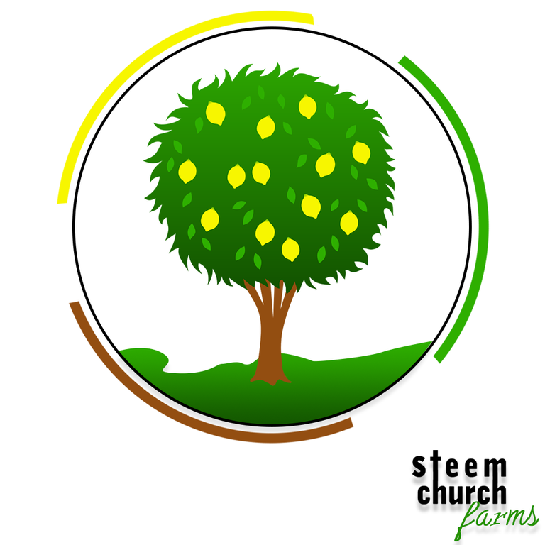 steem church farmsc.png