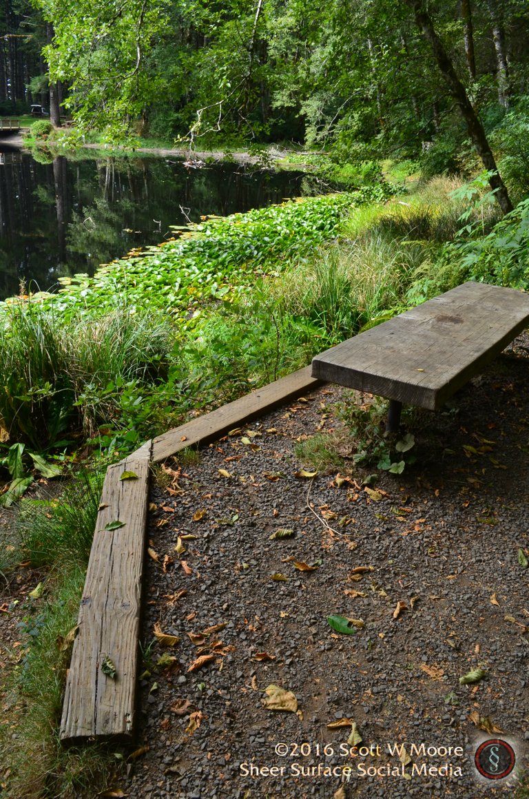 Bench Hebo Lake Aug 2016 Stamped.jpg