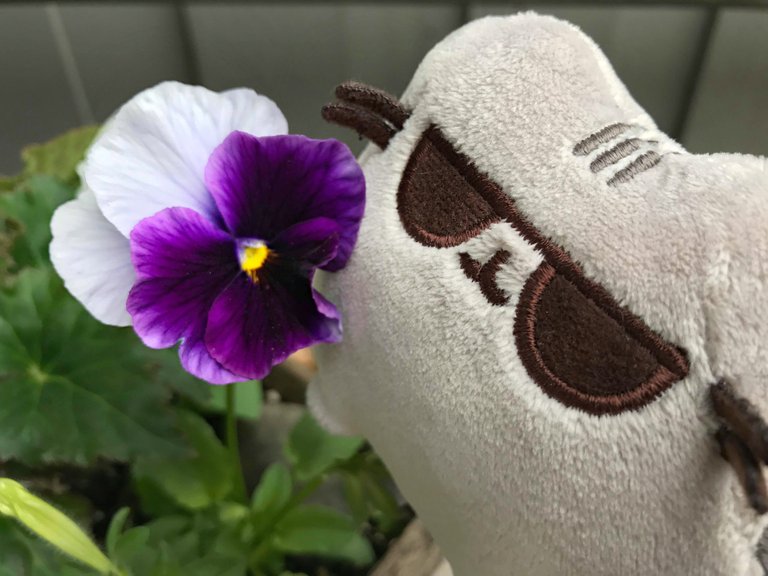 pusheen flower.jpg