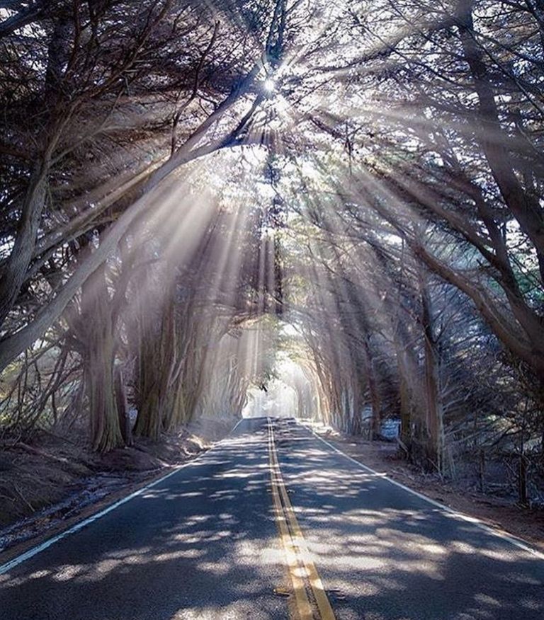 Fort Bragg California.png