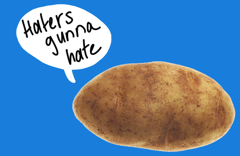 haters gunna hate.png