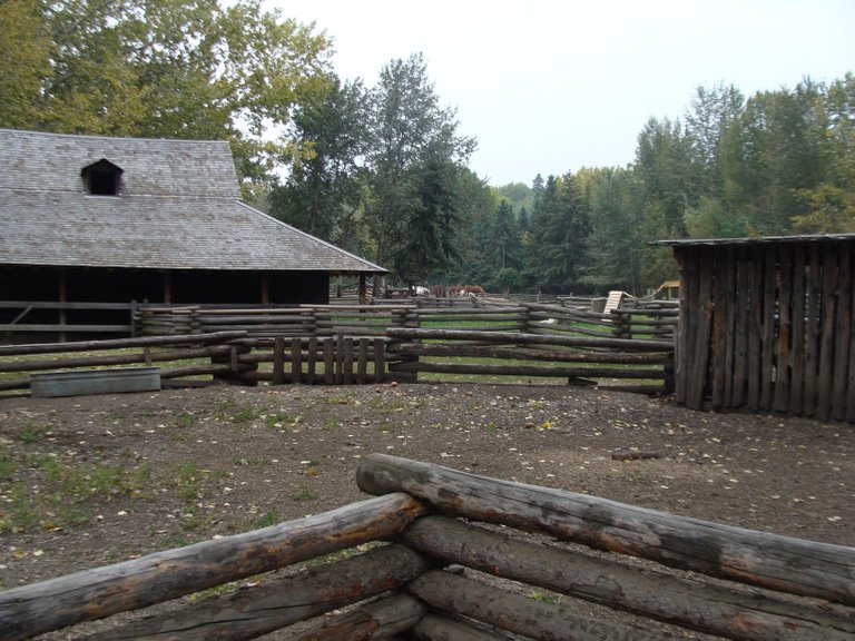 DSC02064.JPG