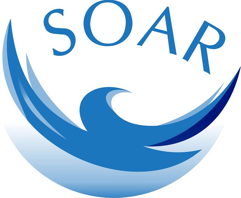 SOAR.jpg