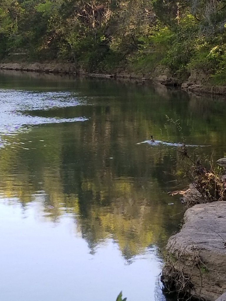 20180420_162136.jpg