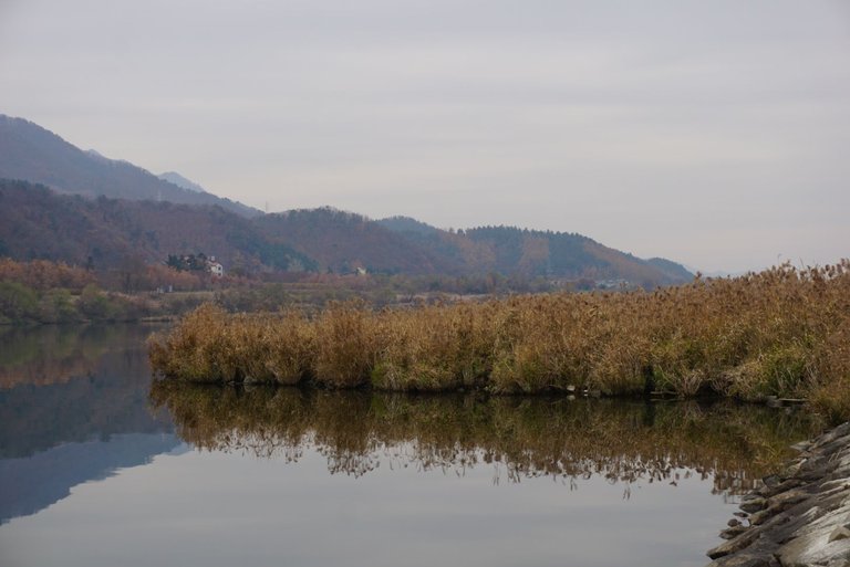 DSC09343.JPG
