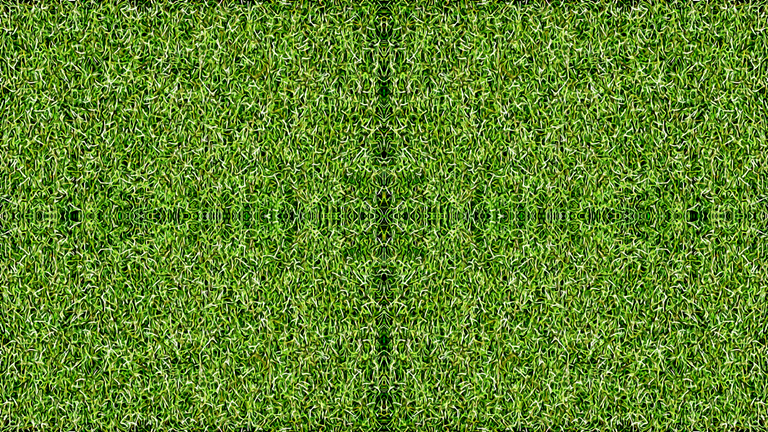 grass mandala2.png