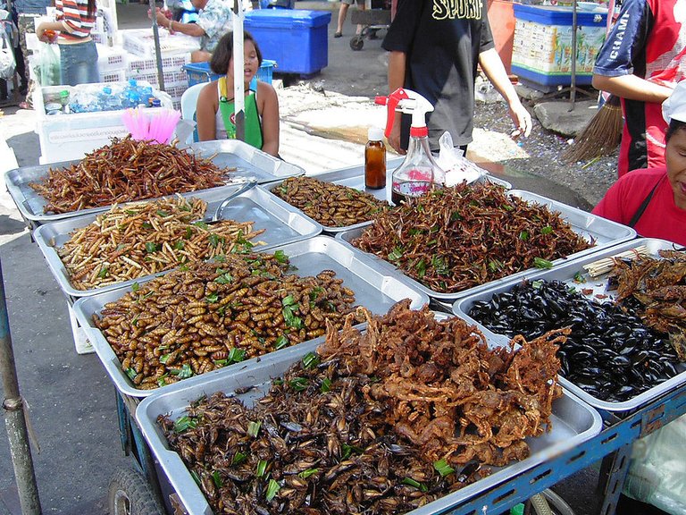 1024px-Insect_food_stall.JPG