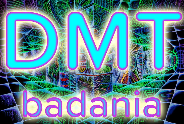 dmt pl.png