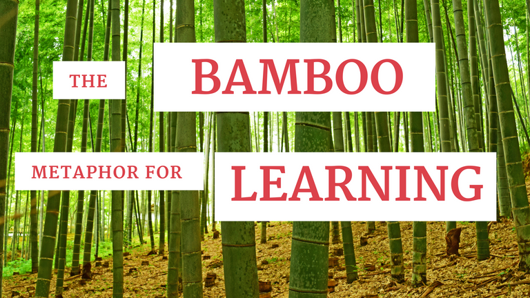 The Bamboo Metaphor for.png