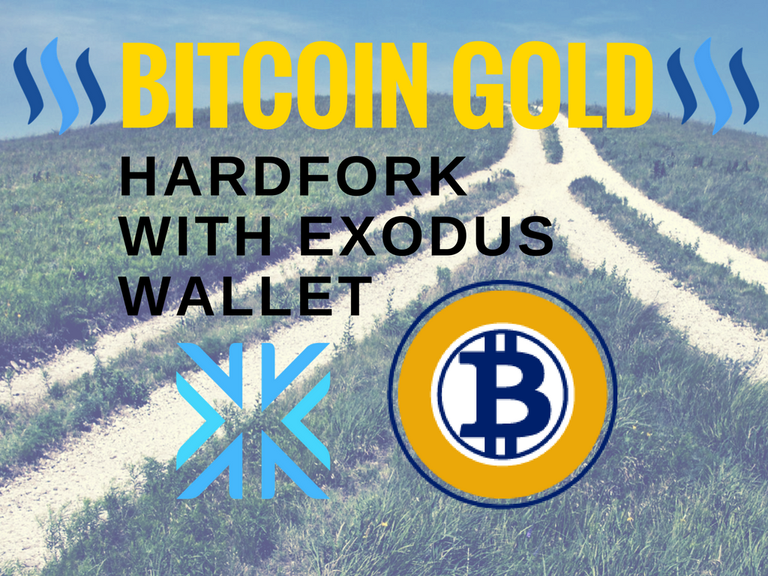 BitcoinGold Exodus Wallet.png