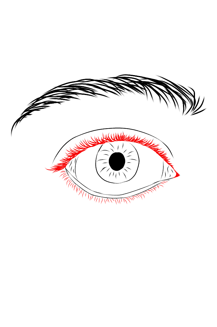 Eye tutorial-1.png