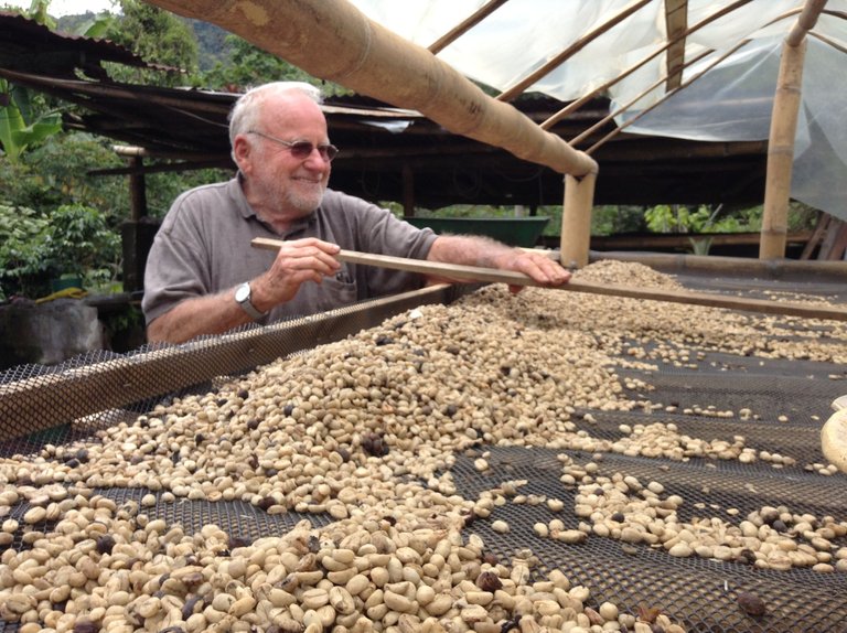 collecting dry beans marquesina.JPG