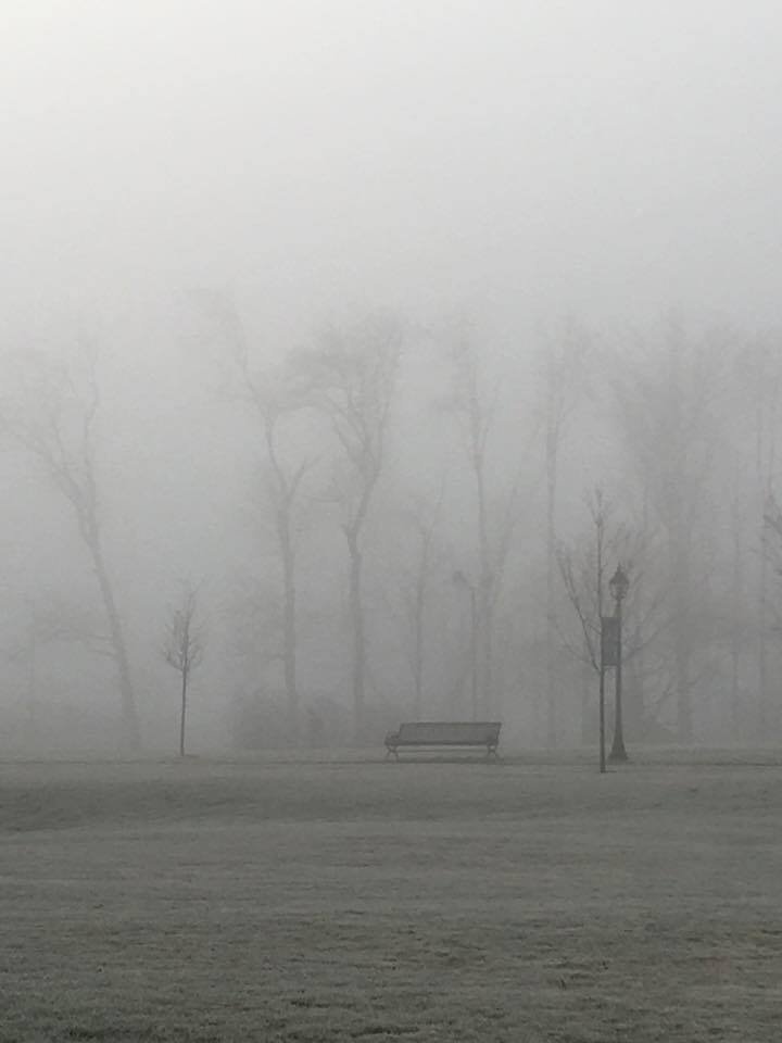 foggy bench.jpg