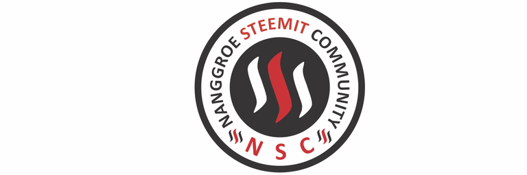 logo NSC White.png