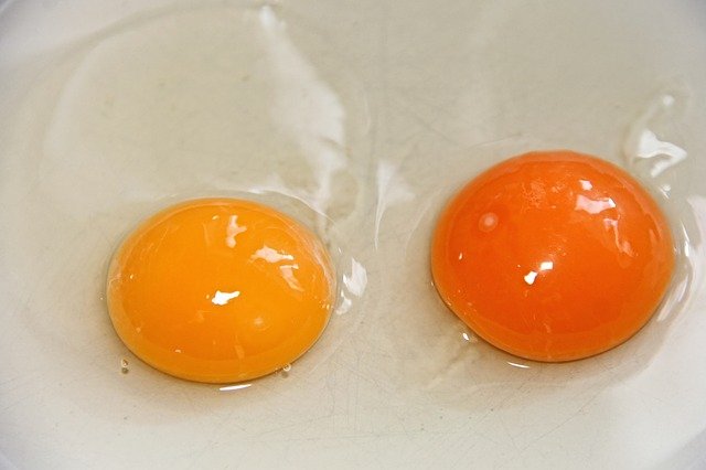 egg-yolk-3193918_640.jpg