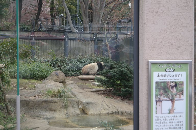 Photo Mar 30, Ueno Zoo 1.jpg