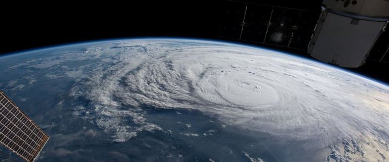 harvey-1-rt-er-170825_12x5_992.jpg