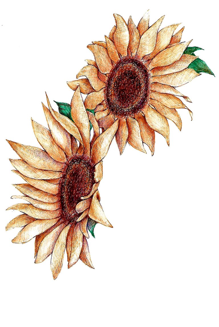 Sunflower_ballpen_art_by_jyacini.jpg