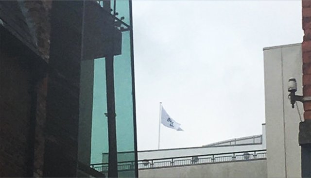 1-Flag-spotted.jpg