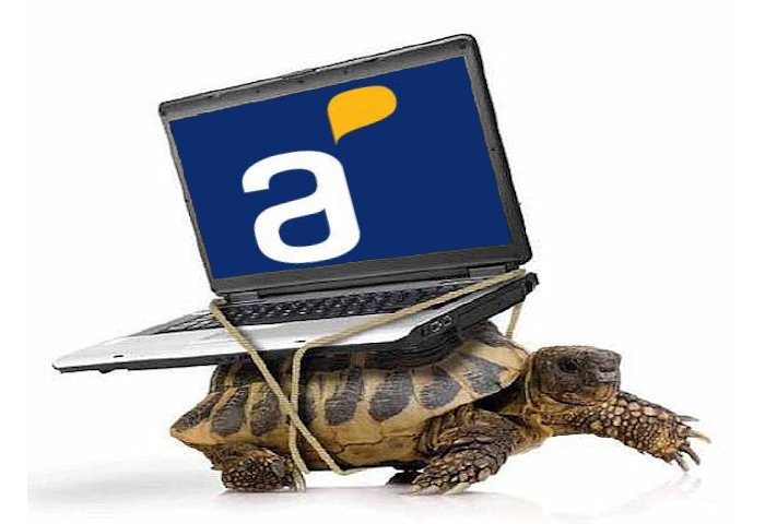 tortuga-antel.jpg