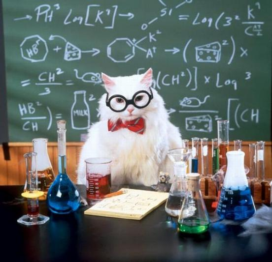 chemistry-cat.png