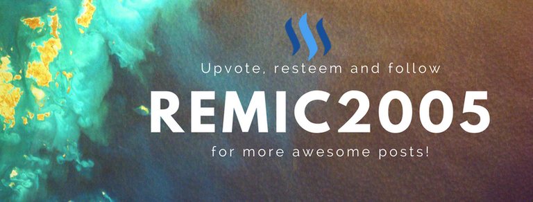 Remic2005 (1).png