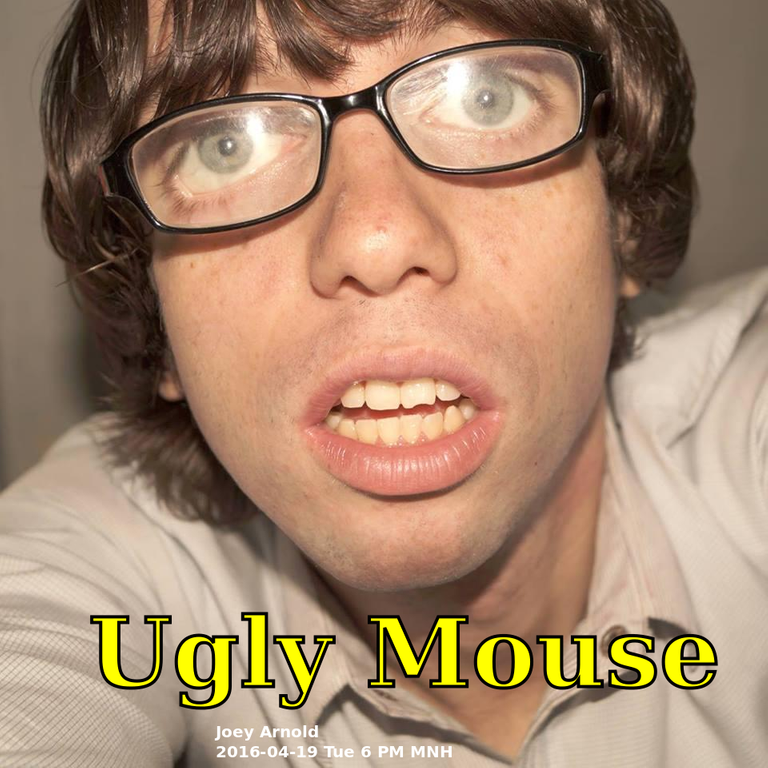 Ugly Mouse 04.png