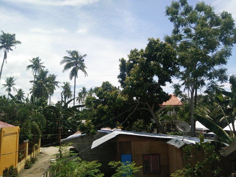 IMG20170828123921.jpg