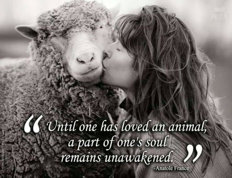 Until-one-has-loved-an-animal-a-part-of-ones-soul-remains-unawakened-Anatole-France-2.jpg