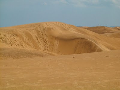 Medanos de Coro.jpg