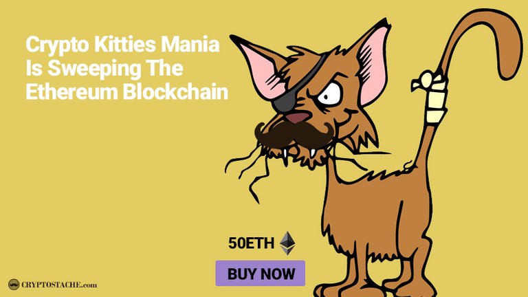 how-to-buy-cryptokitties-blockchain-game-ethereum-network.jpg