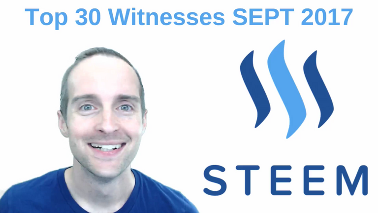 meet steem top 30 witnesses.png