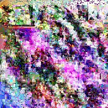 20170203172124_glitch.jpg