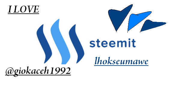 i love steem.PNG