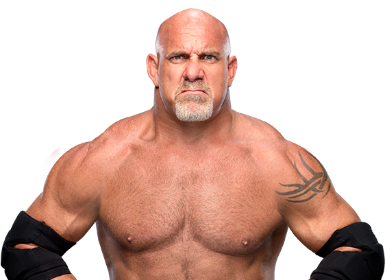 Superstar-Category_Goldberg_562x408_goldberg.png