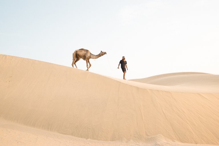 camel-safari-in-jaisalamer-desert-02732.jpg