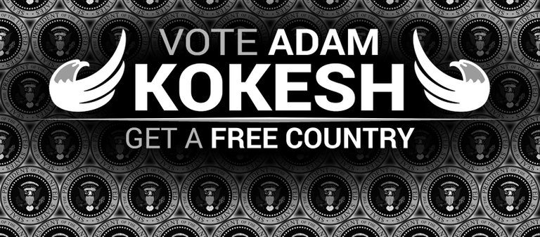 kokesh banner 2.jpg