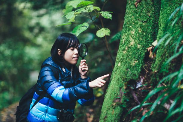 young-woman-with-magnifier-checking-tree-picture-id875973900.jpg