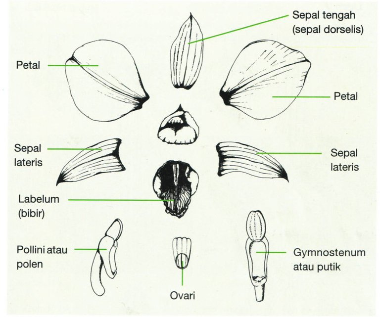 CACC21A5-095F-44F0-B8C1-F346A5E464D9.jpeg