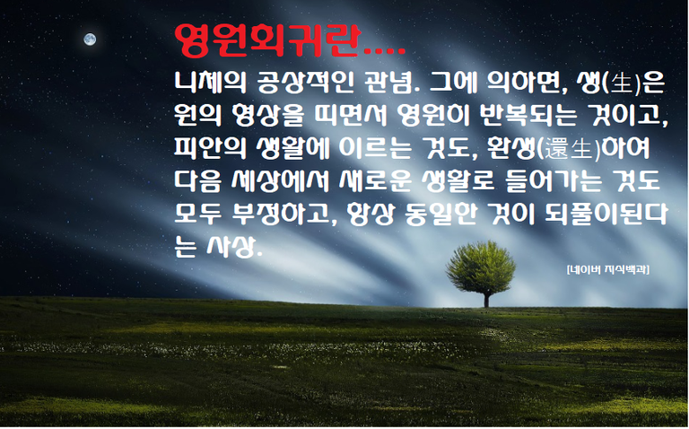 사진142.png