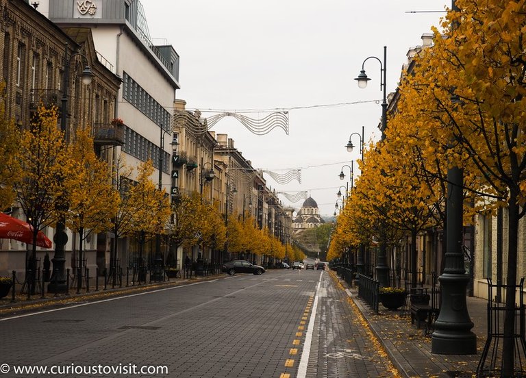 1511_Lithuania_Vilnius_Kvedarna_kapines-1010150 (Copy).jpg