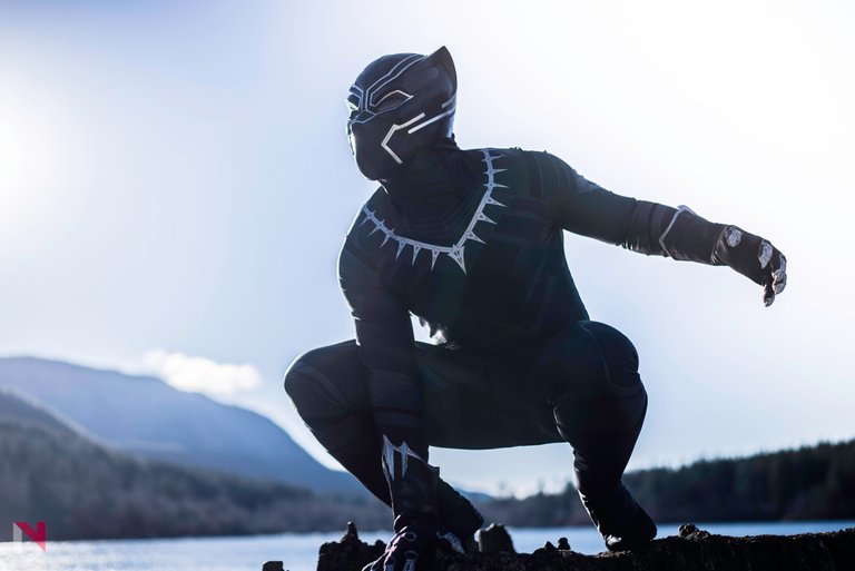 black-panther-the-protector-of-wakanda-o8.jpg