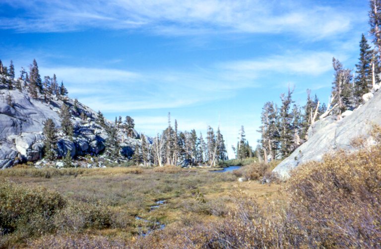 MT-Whitney-Trail-006.jpg