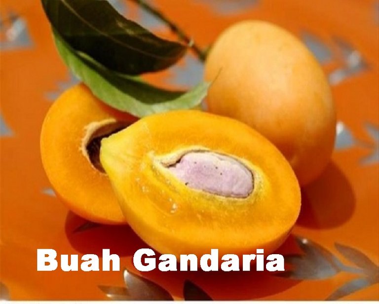 buah-gandaria.jpg